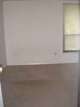 klynn24 profile photo