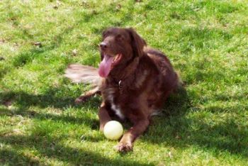 zephyr4 profile photo