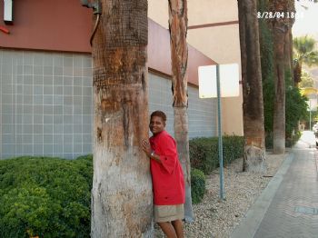 kde0312 profile photo