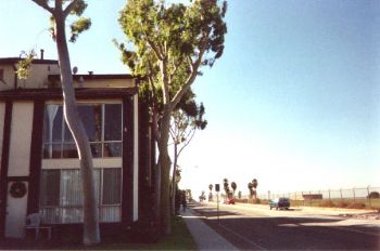 scu_man profile photo