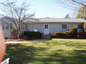 gheiler profile photo