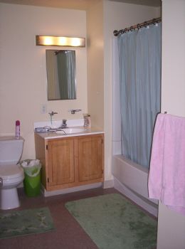 MissPenguin profile photo