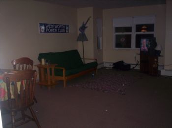 MissPenguin profile photo