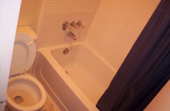 siah80 profile photo