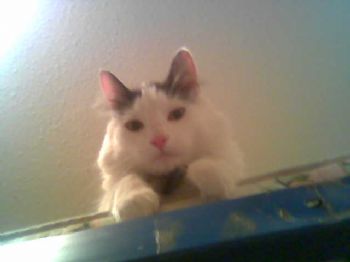 decorator17 profile photo