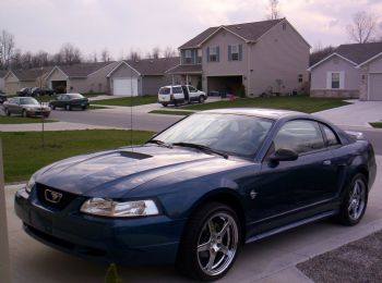 Stanggrl profile photo