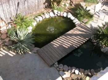 lilstaraj profile photo