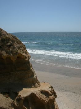 lilstaraj profile photo