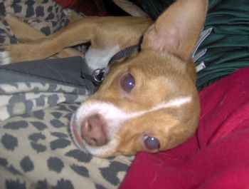 MelanieB02 profile photo