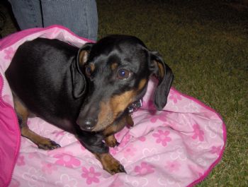 MelanieB02 profile photo