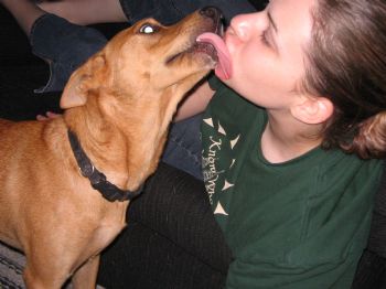 azchick20 profile photo