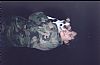 Eidolon profile photo