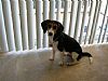 dalbert profile photo