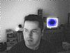 wptoler profile photo