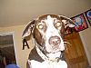angietalks profile photo