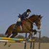 horsegirl profile photo