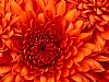testtest123 profile photo
