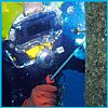 diverdown profile photo