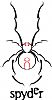 nivenspyder profile photo
