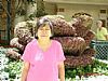 ng choy ying profile photo