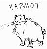 EyeRobot profile photo