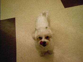Muffin85 profile photo