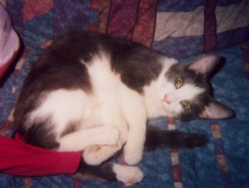 Harperhough profile photo