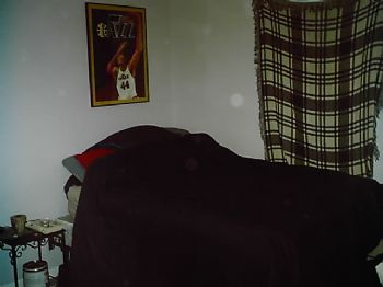 Adenicola profile photo