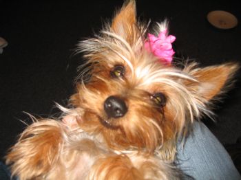 Epross03 profile photo