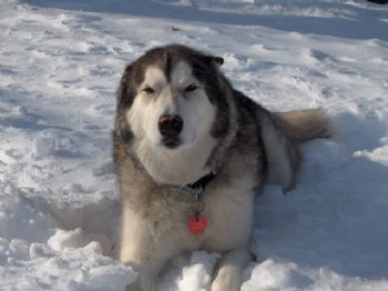 Andi9653 profile photo
