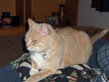 Andi9653 profile photo