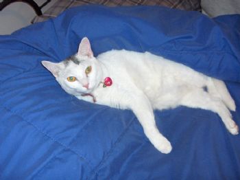 Andi9653 profile photo