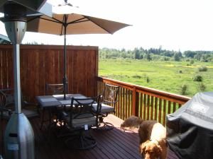 Banderson982 profile photo