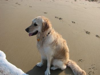 Lilly221 profile photo