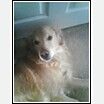 Indychick profile photo