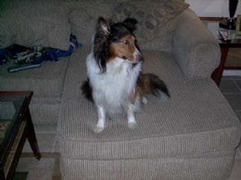 Hperron profile photo