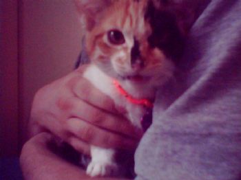 Goodnoodle profile photo