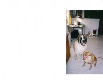 Biffsmom profile photo
