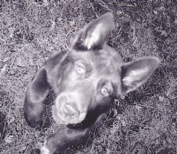 Wartburgc713 profile photo