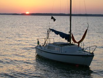 Sailingseaha profile photo