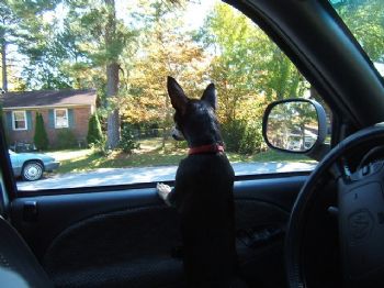 Gizzynpoco profile photo