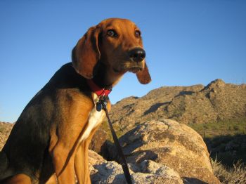Trib0T profile photo