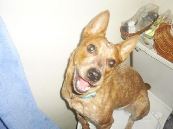Xena012683 profile photo