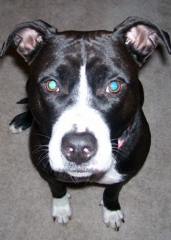 Kmsrhw profile photo