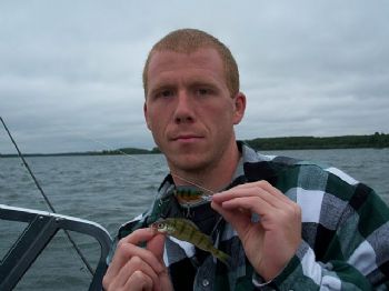Scotterman profile photo