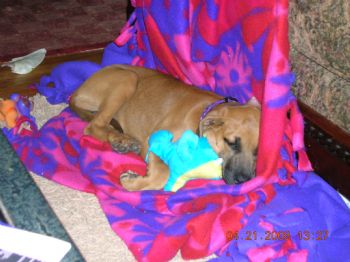 Alfrommi profile photo