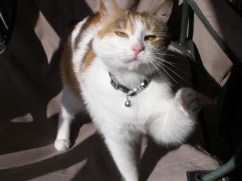 Calialy profile photo
