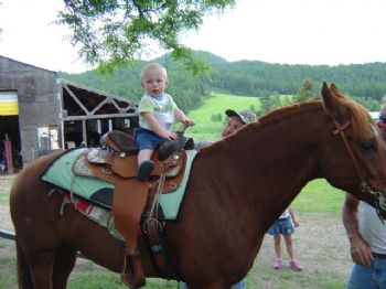Horsecrazryr profile photo