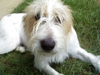 Aelankey profile photo