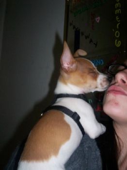 Jessie1123 profile photo